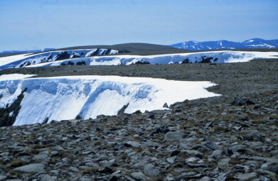 United Kingdom Scotland Cairngorms, Beinn a Bhuird , Beinn a Bhuirds north top Summit ridge , Walkopedia