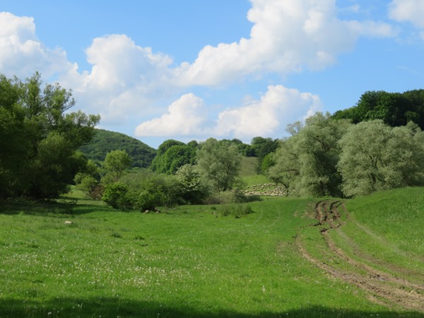 Romania Transylvania, The Saxon South, , Walkopedia