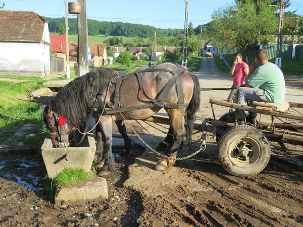 Romania Transylvania, The Saxon South, , Walkopedia