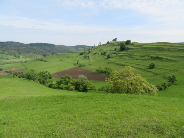 Romania Transylvania, The Saxon South, From Copsa mare, Walkopedia