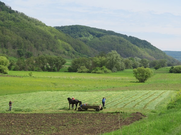 Romania Transylvania, The Saxon South, , Walkopedia