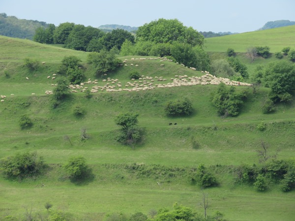 Romania Transylvania, The Saxon South, , Walkopedia