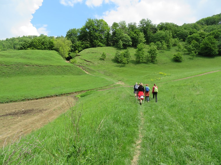 Romania Transylvania, The Saxon South, Malancrav, first walk, Walkopedia