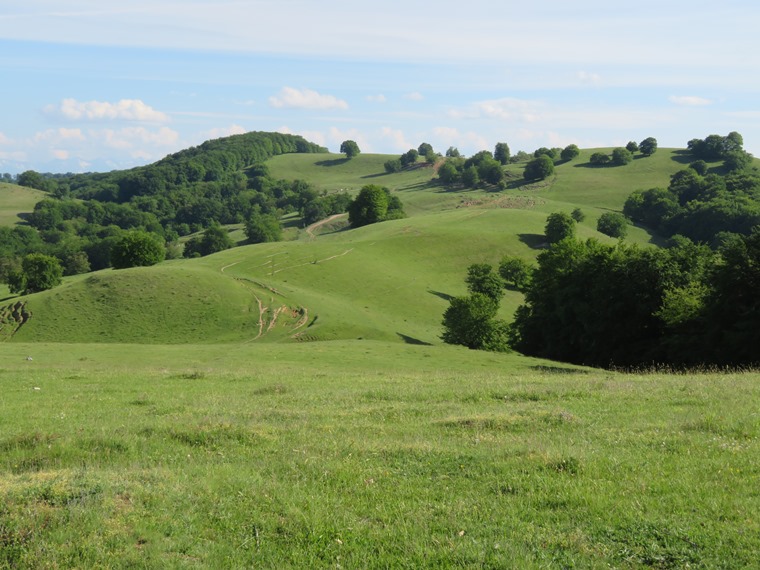 Romania Transylvania, The Saxon South, The ridge of West Malancrav, Walkopedia