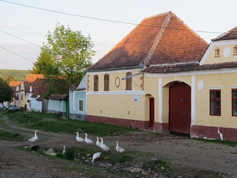 Romania Transylvania, The Saxon South, , Walkopedia