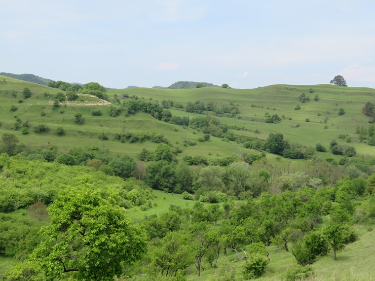 Romania Transylvania, Copsa Mare , , Walkopedia