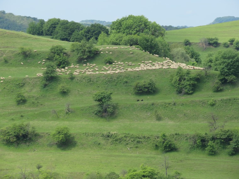 Romania Transylvania, Copsa Mare , , Walkopedia