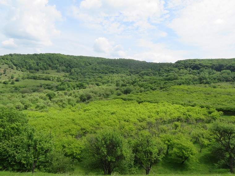 Romania Transylvania, Copsa Mare , , Walkopedia