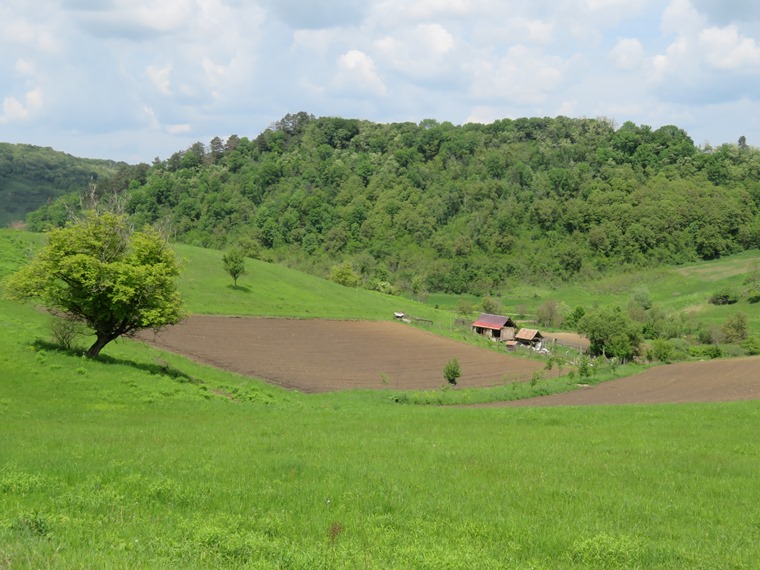 Romania Transylvania, Copsa Mare , , Walkopedia