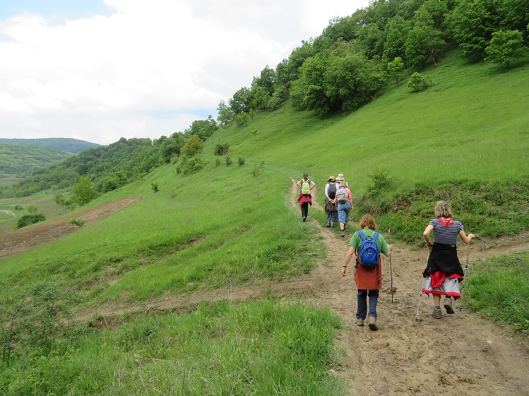 Romania Transylvania, Around Malancrav  , , Walkopedia