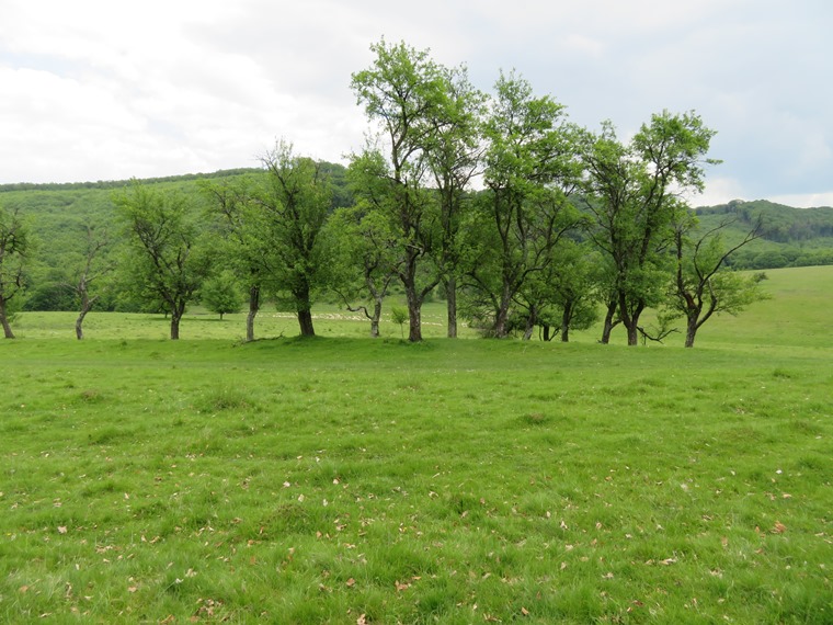 Romania Transylvania, Around Malancrav  , , Walkopedia