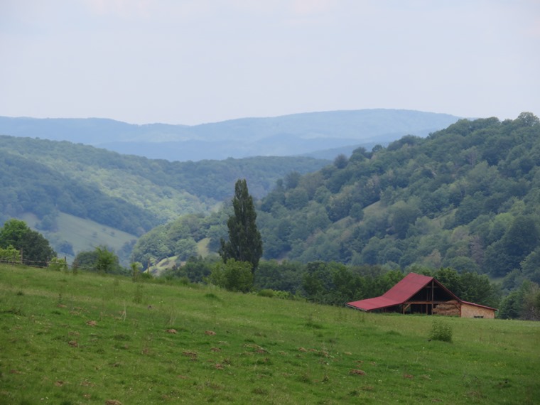 Romania Transylvania, Around Malancrav  , , Walkopedia