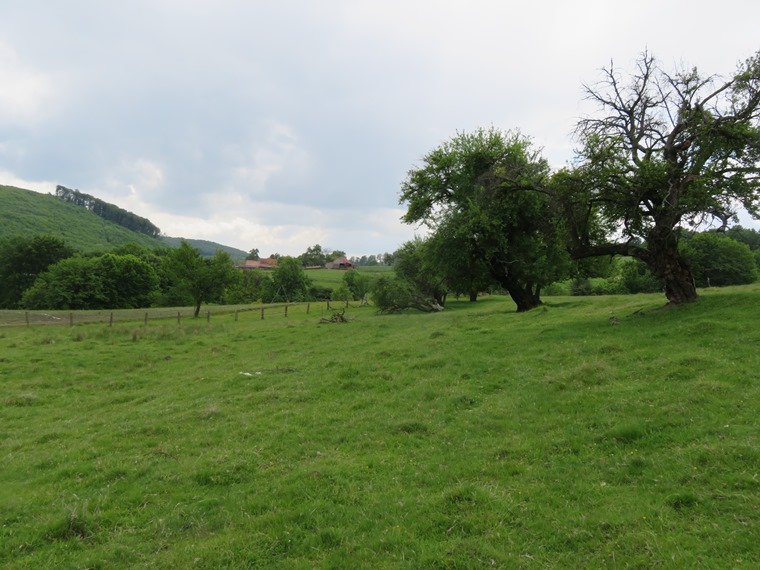 Romania Transylvania, Around Malancrav  , , Walkopedia