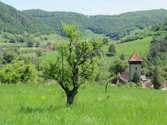 Romania Transylvania, Around Malancrav  , Second walk, Walkopedia