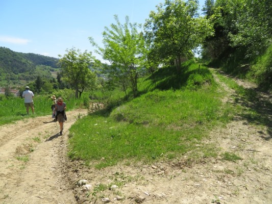 Romania Transylvania, Around Malancrav  , Second walk, Walkopedia