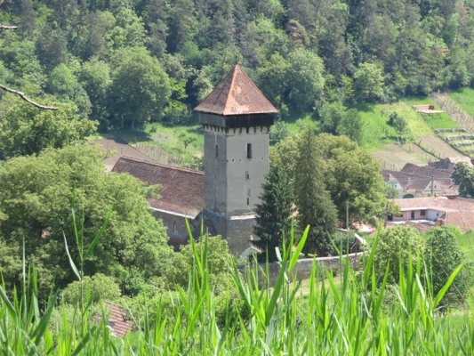 Romania Transylvania, Around Malancrav  , , Walkopedia