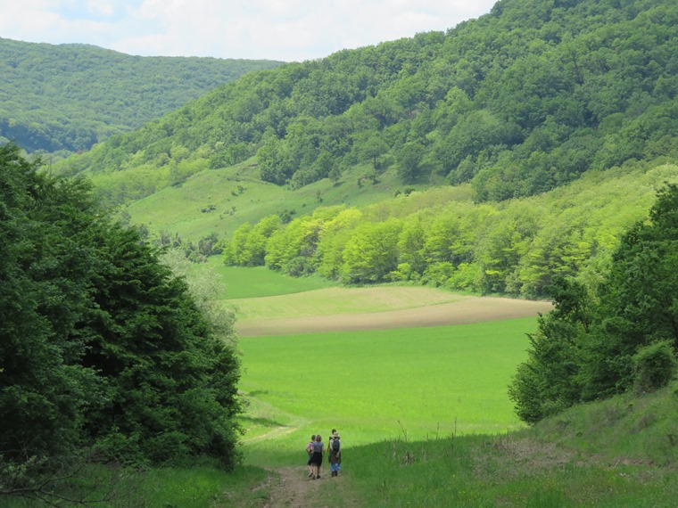 Romania Transylvania, Around Malancrav  , Descent to Nou Sasesc, Walkopedia
