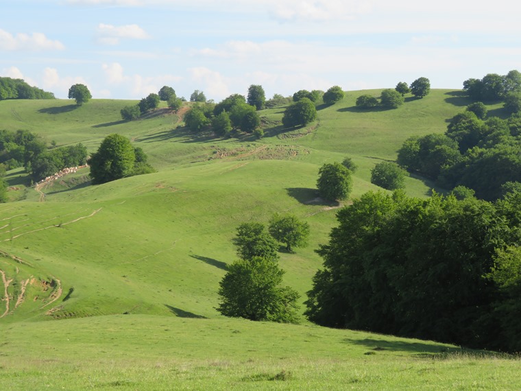 Romania Transylvania, Around Malancrav  , , Walkopedia