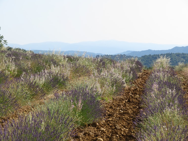 France Provence, Gorges d'Oppedette , , Walkopedia