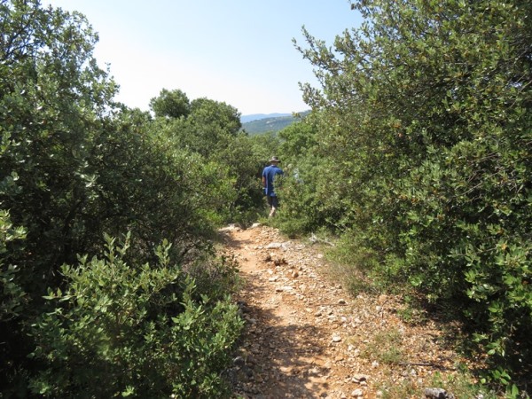 France Provence, Gorges d'Oppedette , , Walkopedia