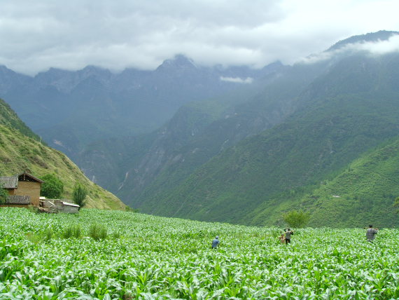 China South-west Yunnan, Tiger Leaping Gorge, Tiger Leaping Gorge, Walkopedia