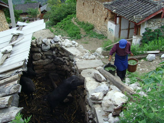 China South-west Yunnan, Tiger Leaping Gorge, Tiger Leaping Gorge, Walkopedia