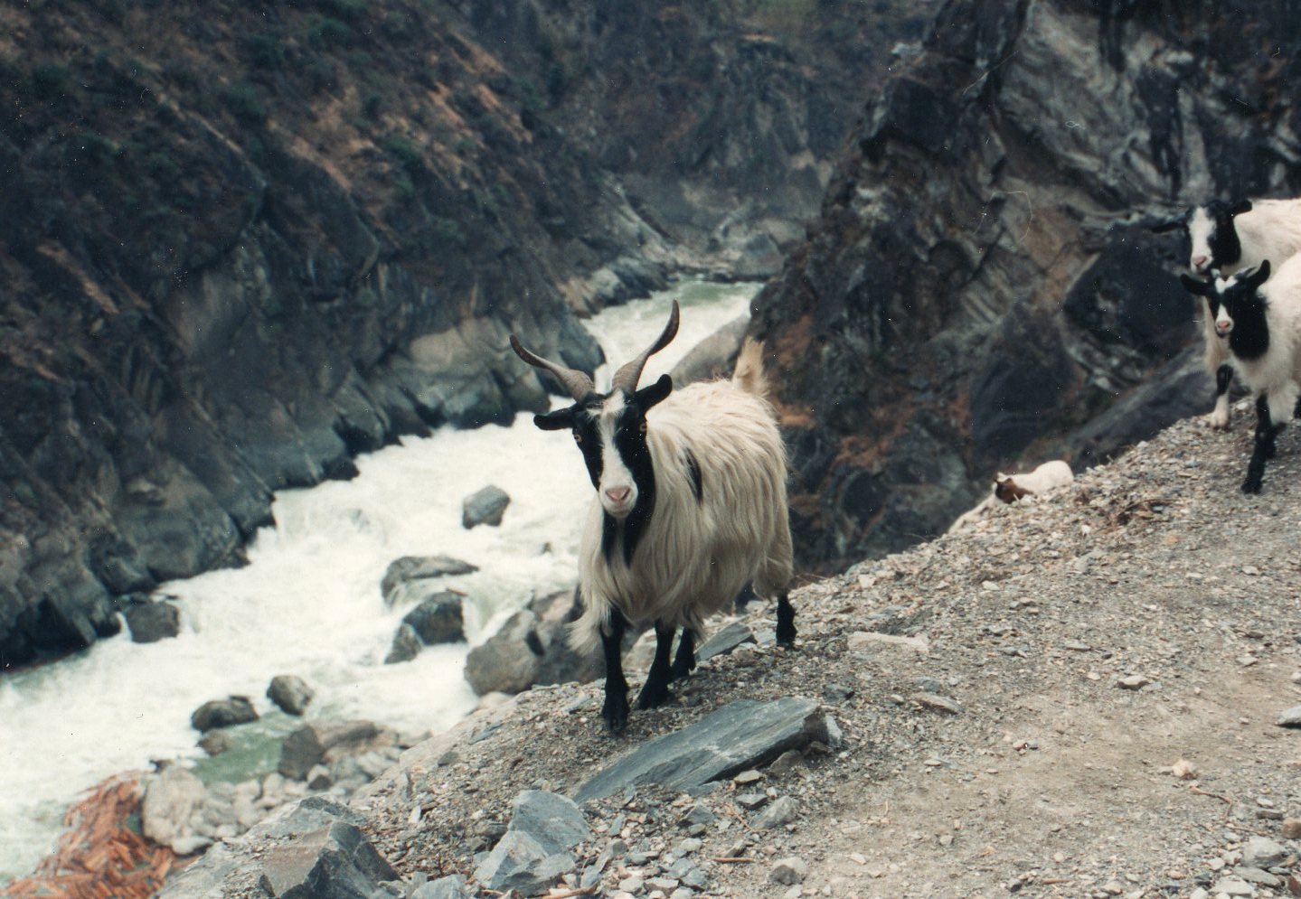 China South-west Yunnan, Tiger Leaping Gorge, Tiger Leaping Gorge, Walkopedia