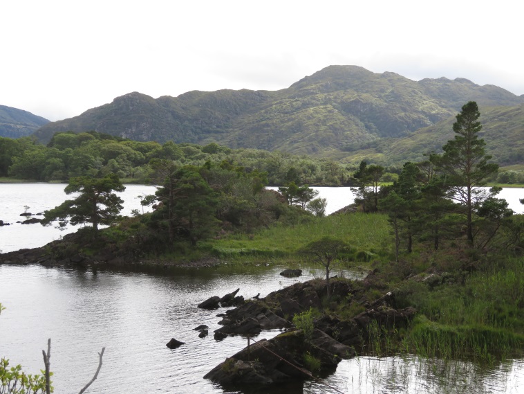 Ireland Kerry Killarney NP, Killarney National Park, Across Muckross Lake to Purple Mountain, Walkopedia