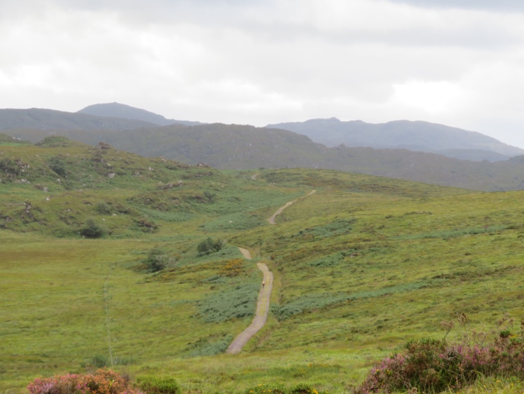 Ireland Kerry Killarney NP, Killarney National Park, On the high hills, Walkopedia