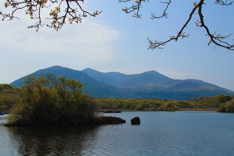 Ireland Kerry Killarney NP, Purple and Tomies Mountains, Lough Leane near Ross Castle, Tomies and Purple Mountain behind, Walkopedia