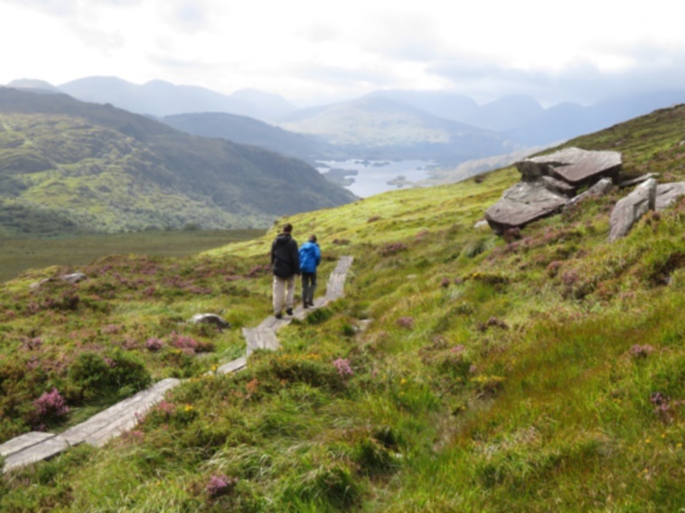 Ireland Kerry Killarney NP, Torc Mountain, Duckboards on boggy stretch 2, Walkopedia