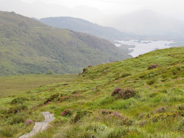 Ireland Kerry Killarney NP, Torc Mountain, , Walkopedia