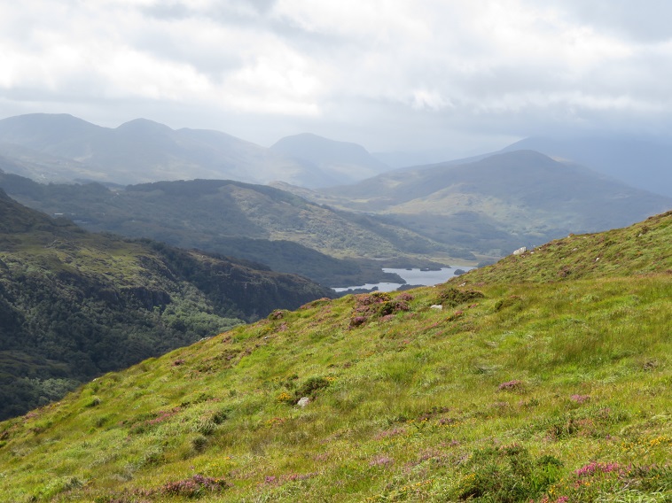 Ireland Kerry Killarney NP, Torc Mountain, , Walkopedia