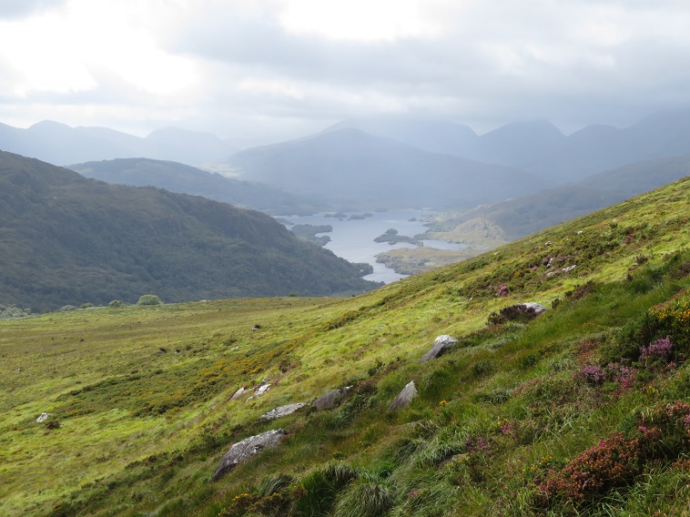 Ireland Kerry Killarney NP, Torc Mountain, , Walkopedia