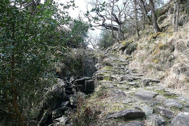 Ireland Kerry Killarney NP, Old Kenmare Road, Old Kenmare Road descent down Eskamuckny Glen , Walkopedia