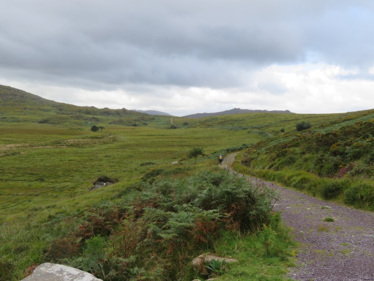 Ireland Kerry Killarney NP, Old Kenmare Road, Above the tree line, Walkopedia