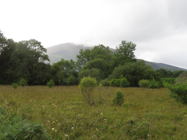 Ireland Kerry Killarney NP, Killarney Lakes, , Walkopedia