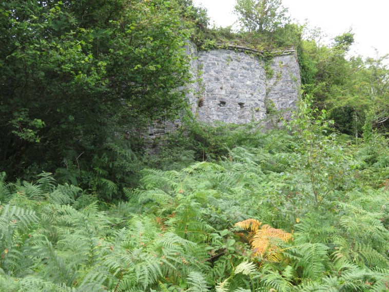 Ireland Kerry Killarney NP, Killarney Lakes, , Walkopedia