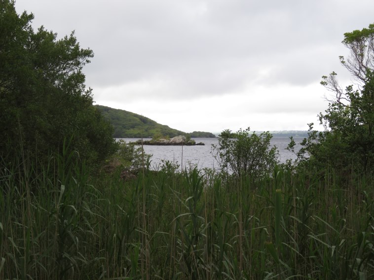 Ireland Kerry Killarney NP, Killarney Lakes, , Walkopedia