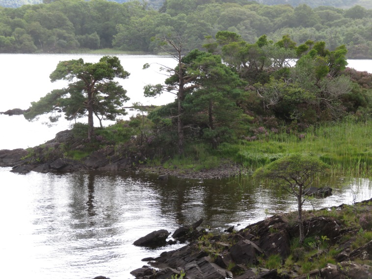 Ireland Kerry Killarney NP, Killarney Lakes, Muckross Lake, Walkopedia