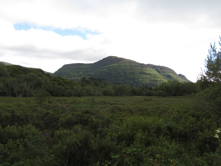 Ireland Kerry Killarney NP, Killarney Lakes, Torc Mountain, Walkopedia