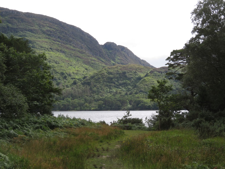 Ireland Kerry Killarney NP, Killarney Lakes, Torc mountain flank from Muckross Lake, Walkopedia