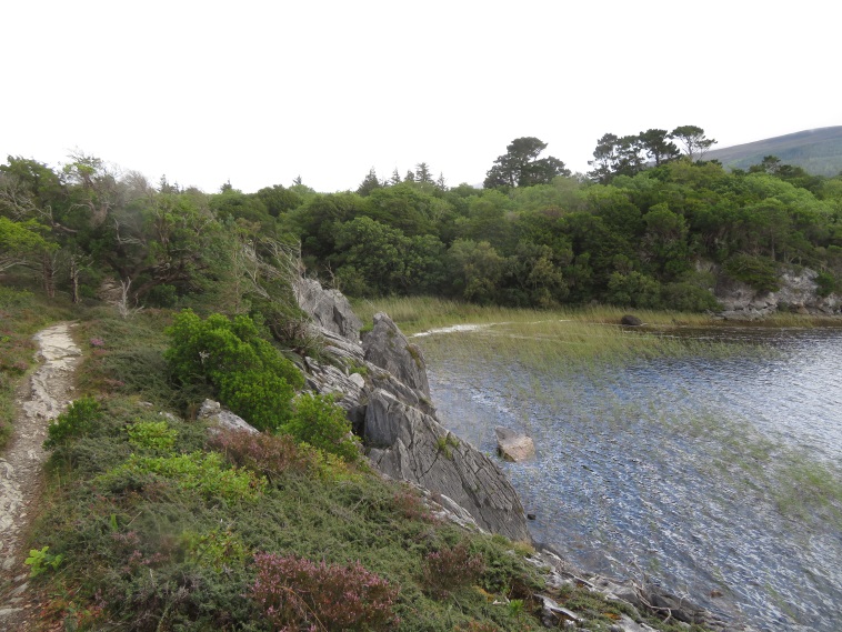 Ireland Kerry Killarney NP, Killarney Lakes, Muckross Lake, sometimes feels like northern Scandinavia, Walkopedia