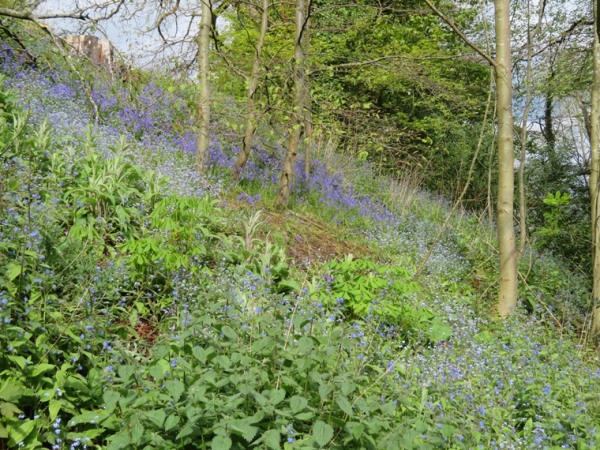 United Kingdom England West, Malvern Hills, Above St Anne's Well, Walkopedia