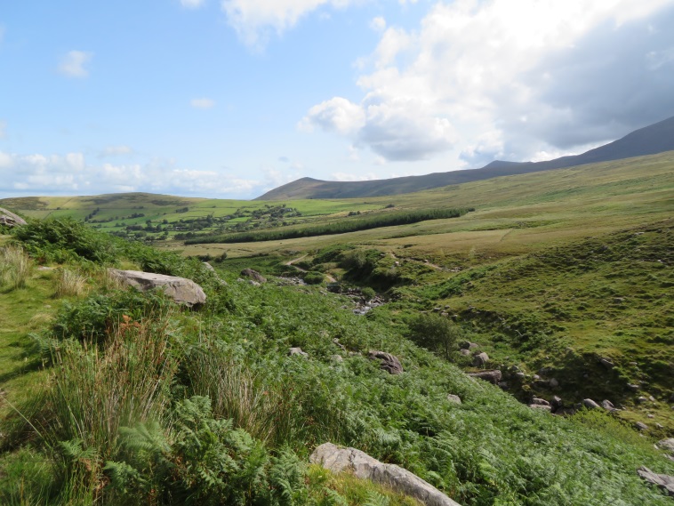 Ireland Kerry Iveragh Peninsula, Carrauntoohil, Track above Cromin's Yard, Walkopedia