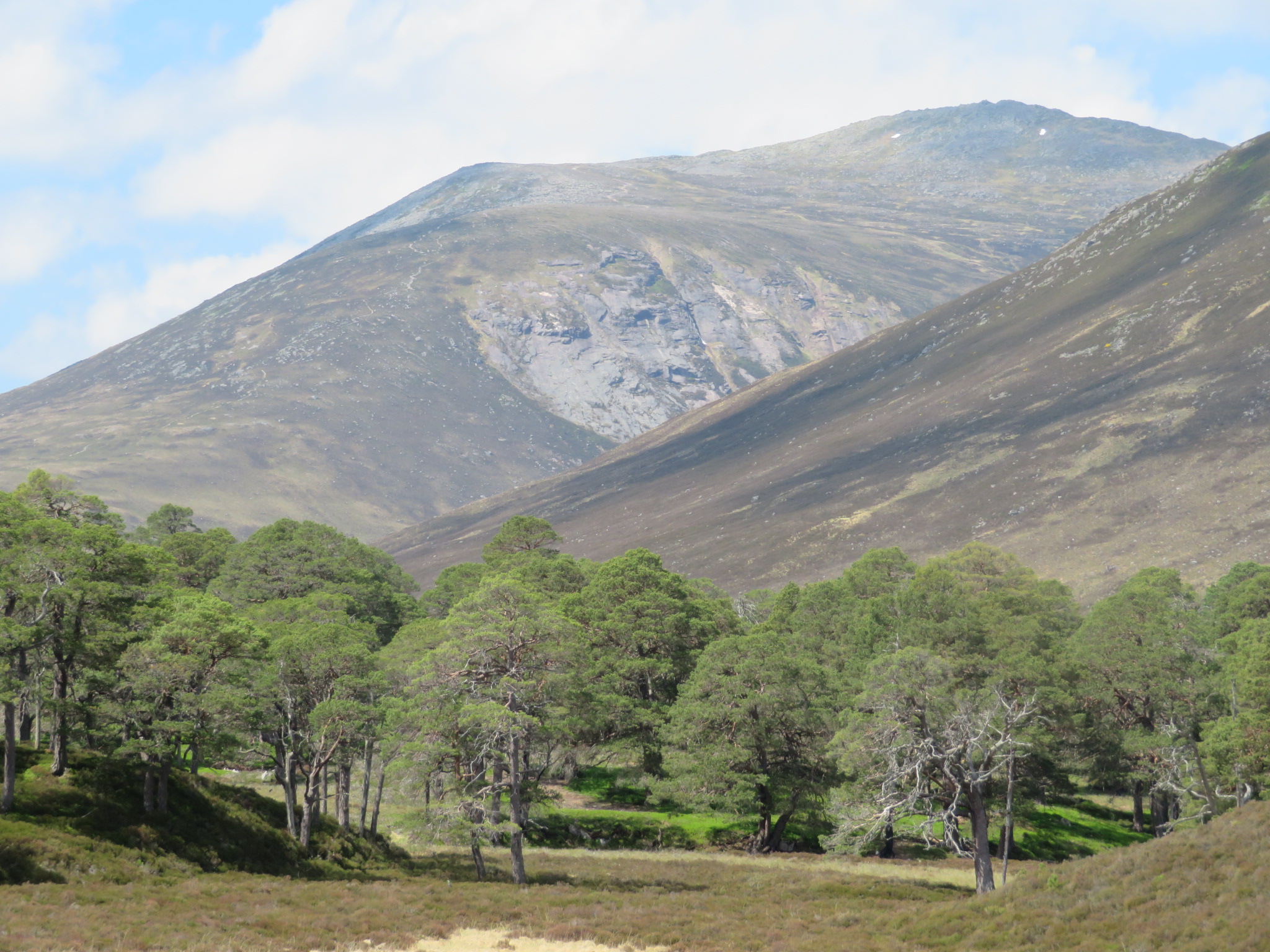 United Kingdom Scotland Cairngorms, Carn a'Mhaim, Carn A Mhaim from upper Glen Lui, Walkopedia