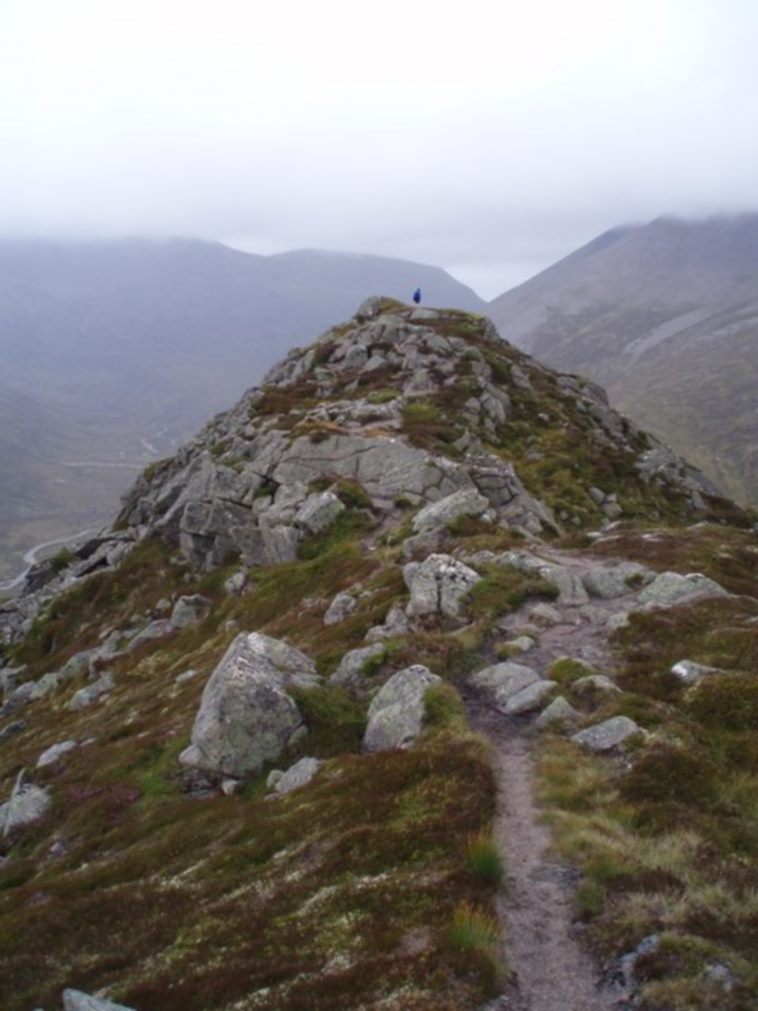 United Kingdom Scotland Cairngorms, Carn a'Mhaim, Carn a' Mhaim - North Ridge, Walkopedia