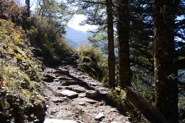 Bhutan, Dagala Trek, , Walkopedia