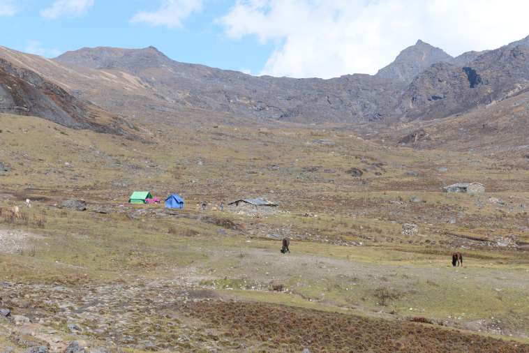 © Stephen Barber... Dagala Trek: © Stephen Barber...