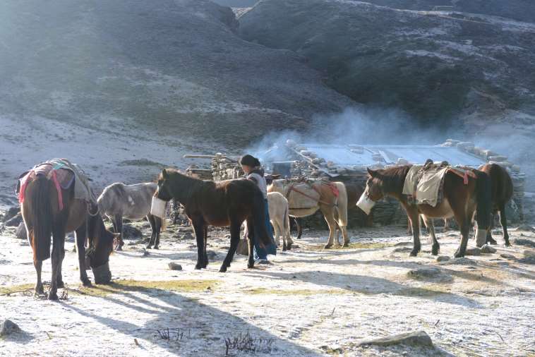 Bhutan, Dagala Trek, , Walkopedia